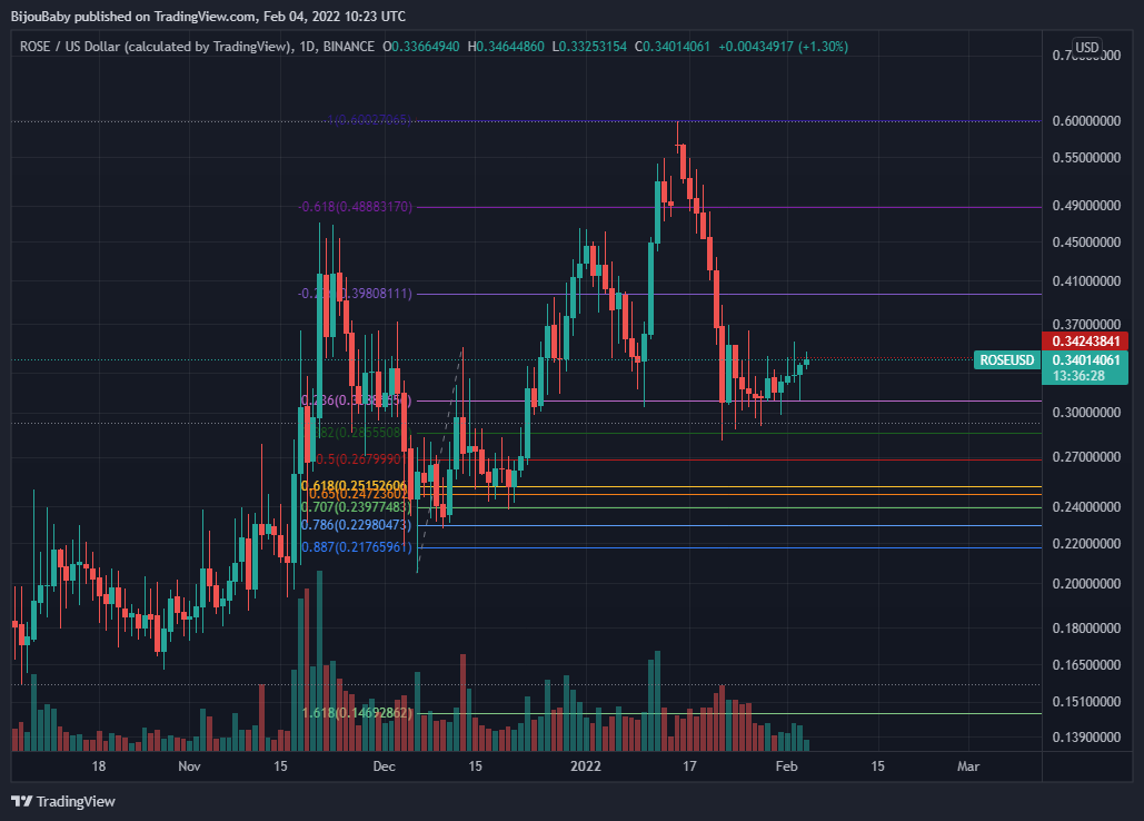 BINANCE:ROSEUSD Chart Image by BijouBaby