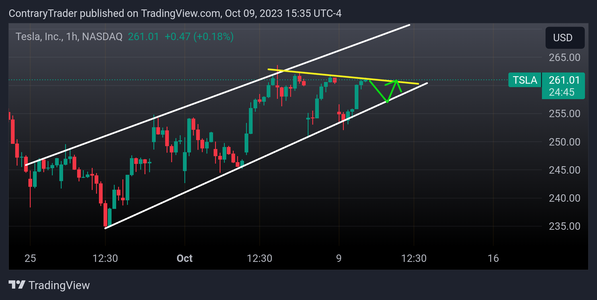 NASDAQ:TSLA Chart Image by ContraryTrader