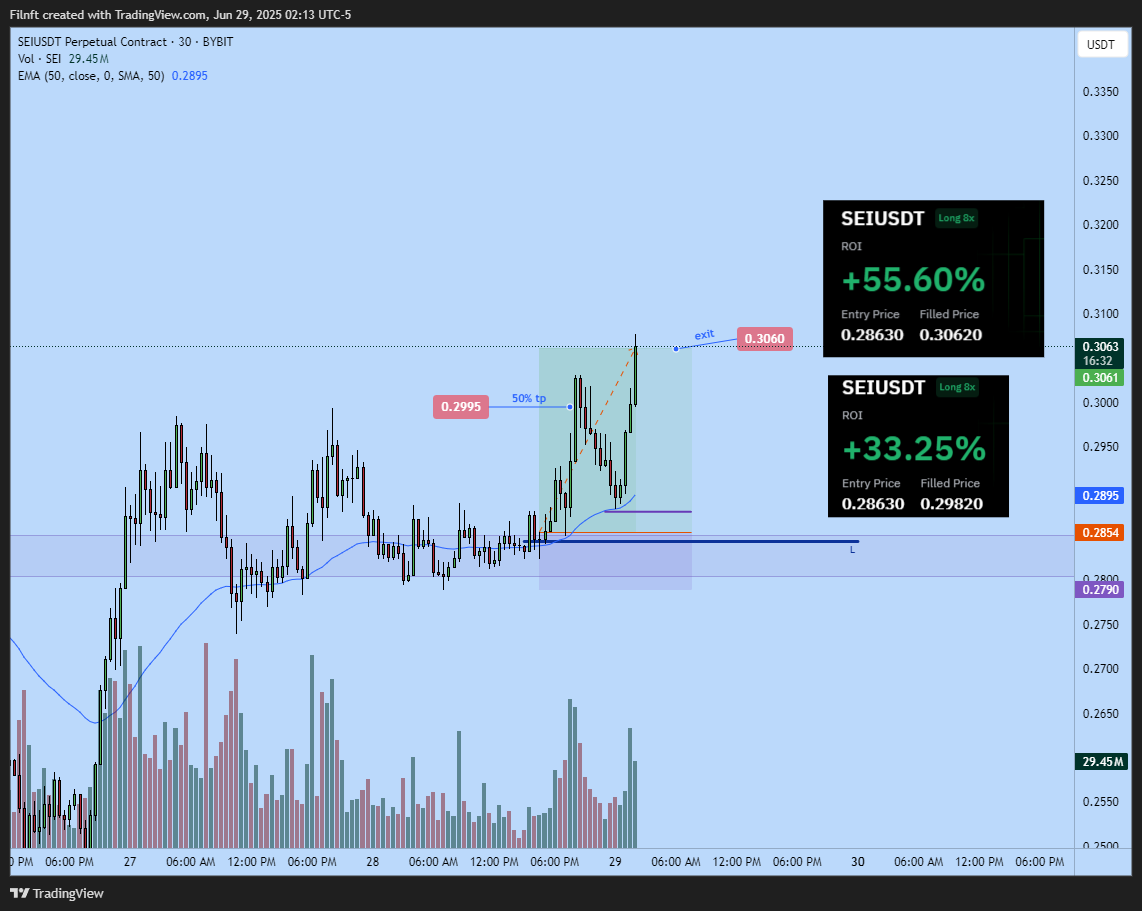 BYBIT:SEIUSDT.P Chart Image by Filnft