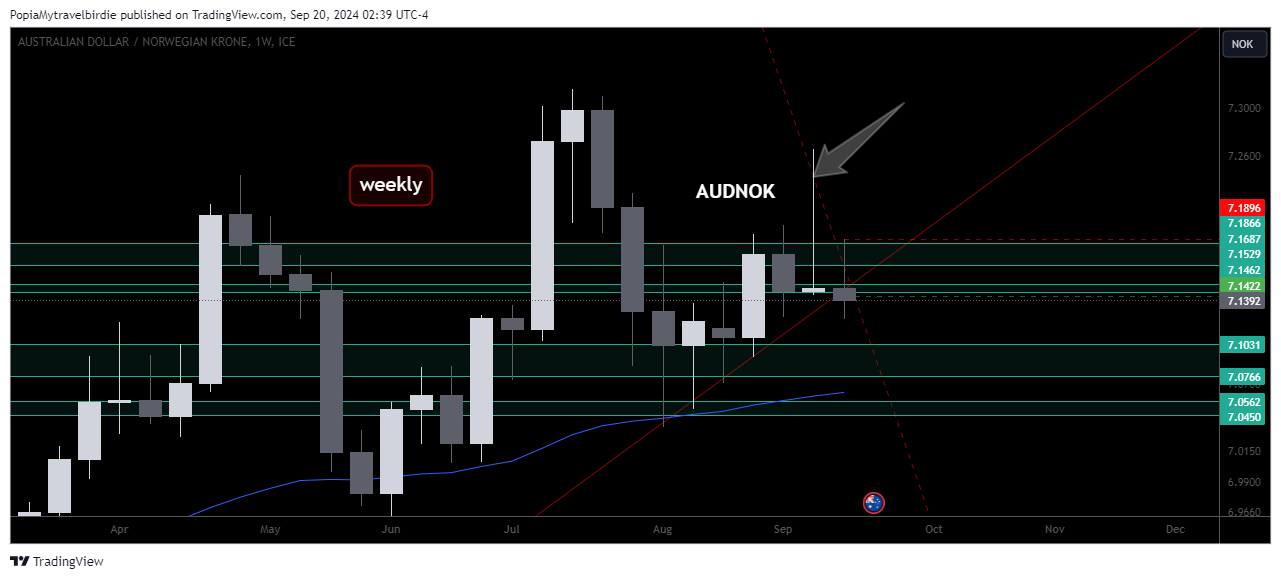 FX_IDC:AUDNOK Chart Image by PopiaMytravelbirdie