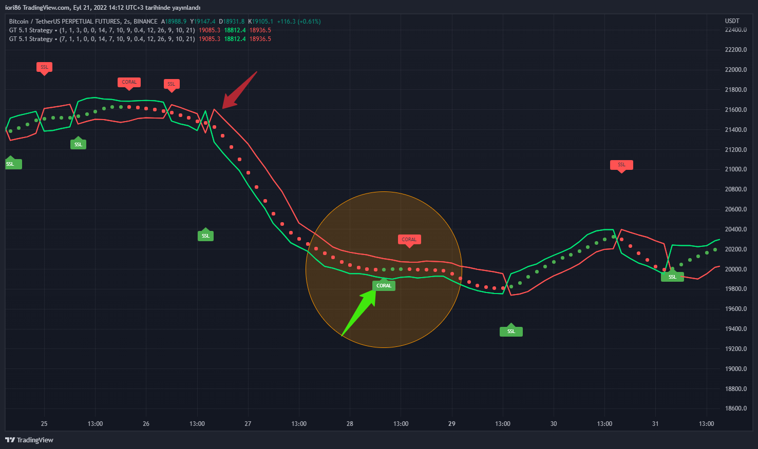 BINANCE:BTCUSDTPERP Chart Image by iori86