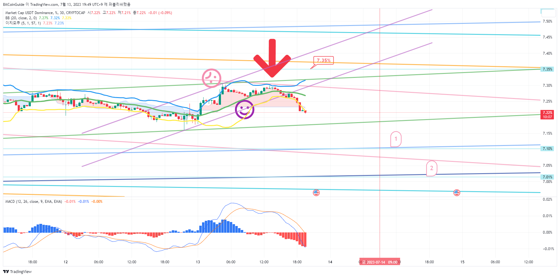 CRYPTOCAP:USDT.D Chart Image by BitCoinGuide