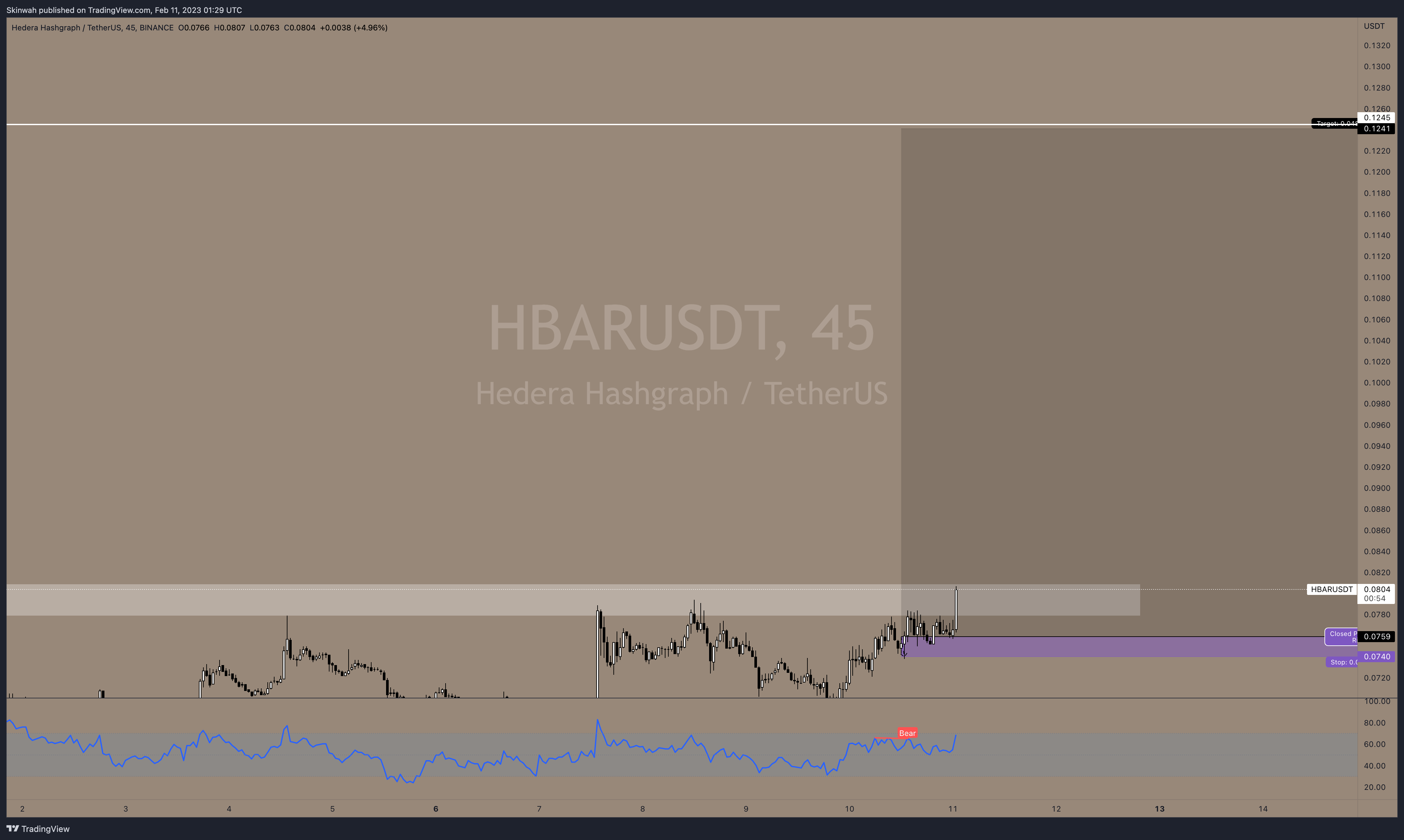 BINANCE:HBARUSDT Chart Image by Skinwah