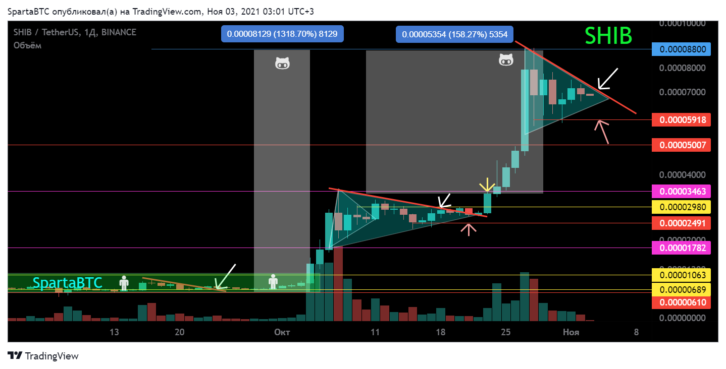 BINANCE:SHIBUSDT Chart Image by SpartaBTC