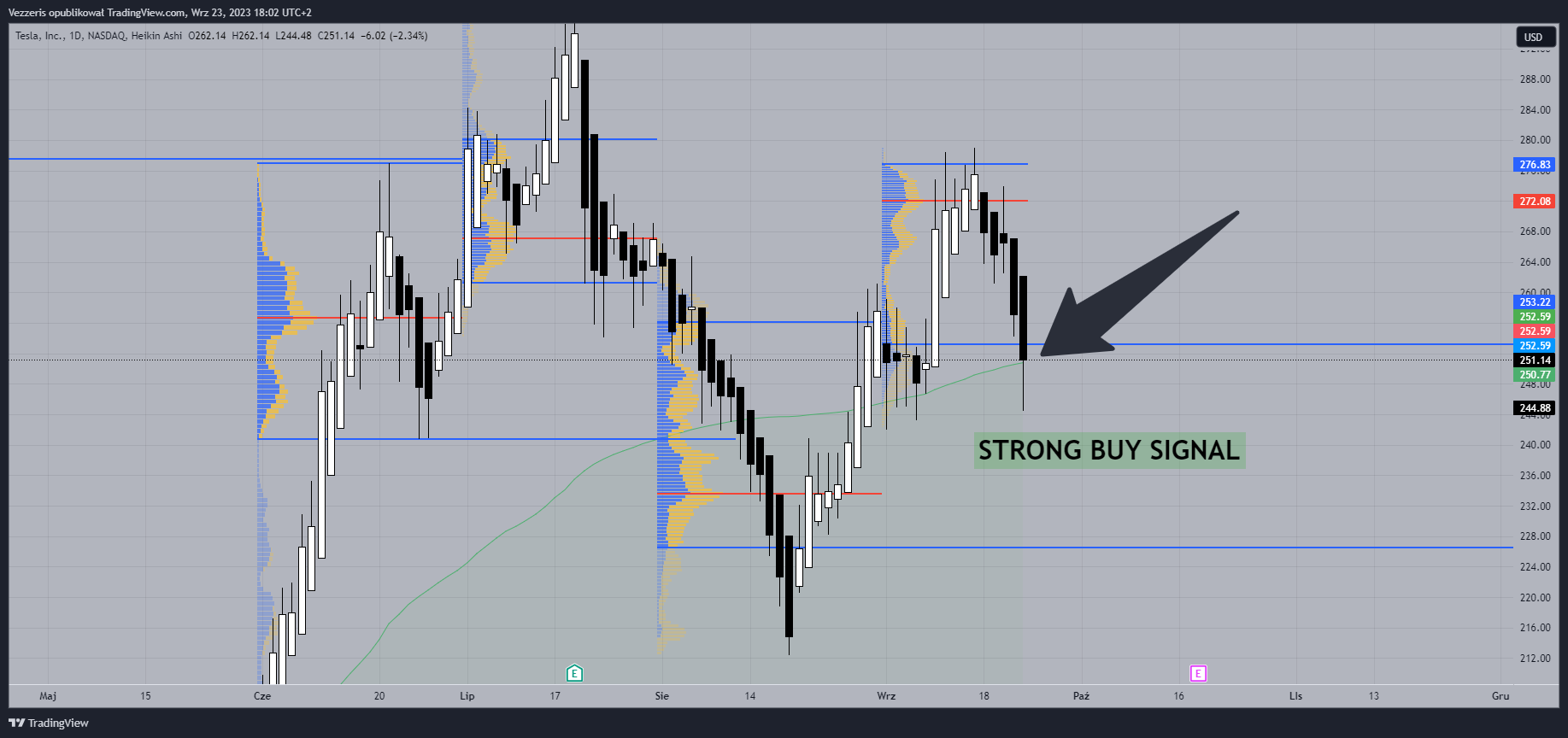BATS:TSLA Chart Image by Vezzeris
