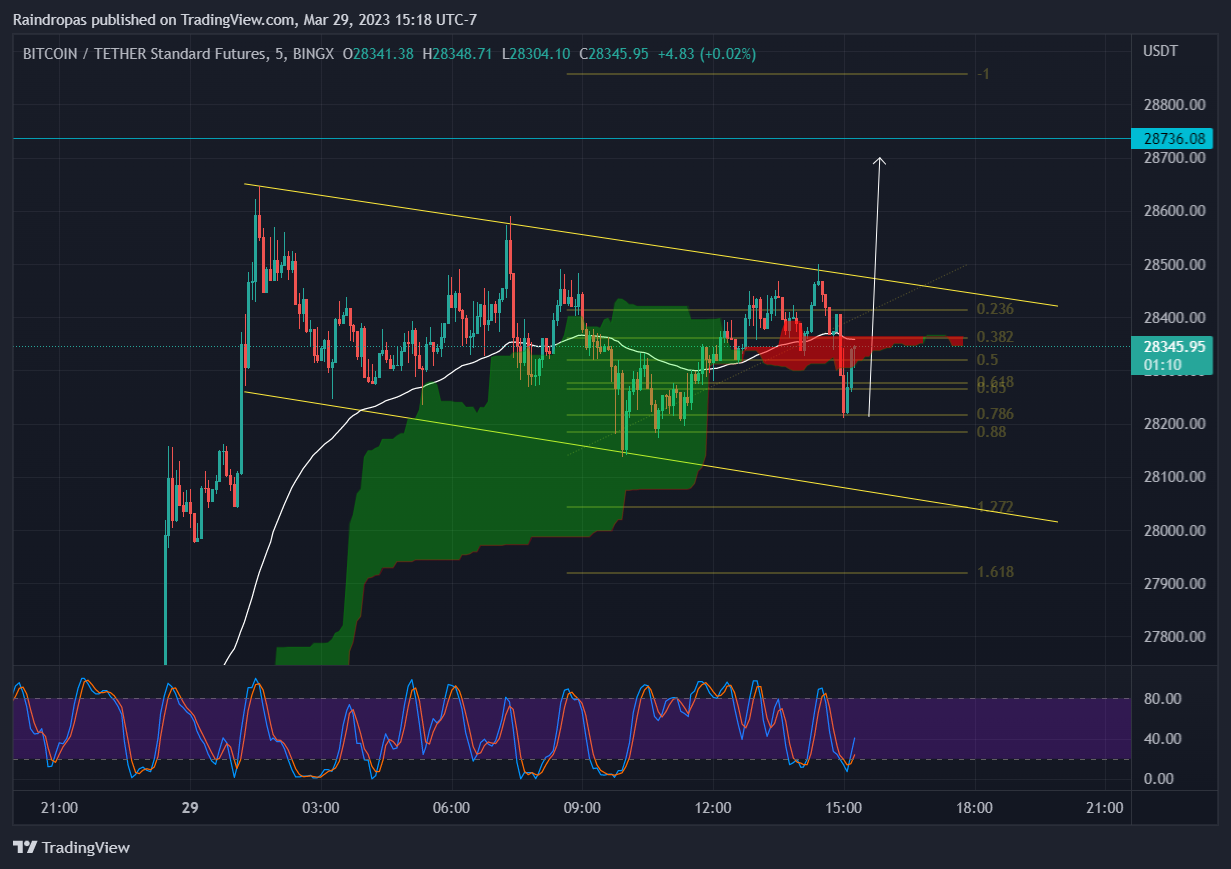 BINGX:BTCUSDT.PS Chart Image by Raindropas
