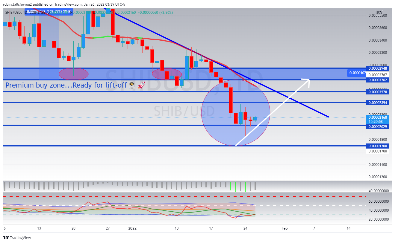 COINBASE:SHIBUSD Chart Image by robinstallsforyou2