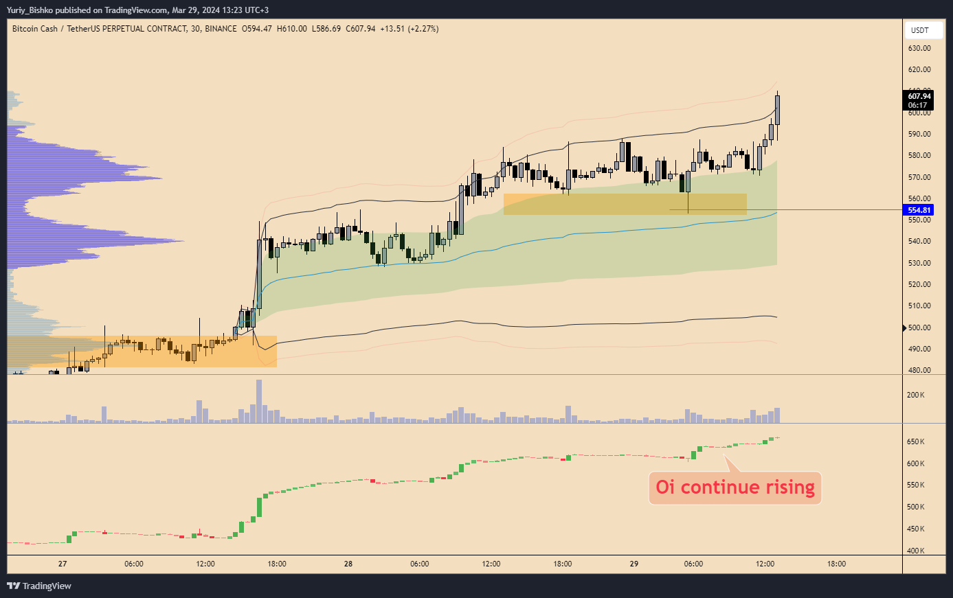 BINANCE:BCHUSDT.P Chart Image by Yuriy_Bishko