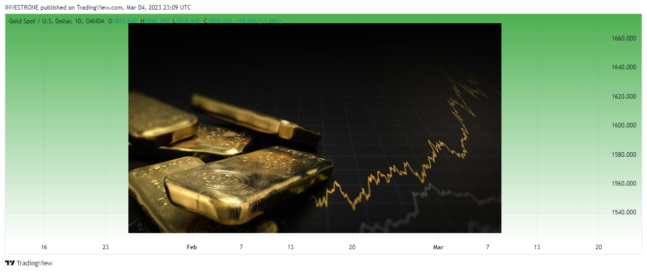 OANDA:XAUUSD Chart Image by INVESTRONE
