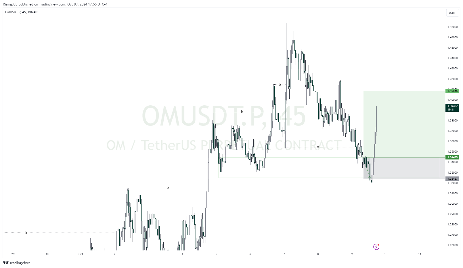 BINANCE:OMUSDT.P Chart Image by Rising33B