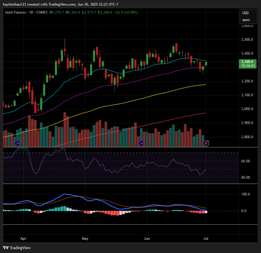 COMEX:GC1! Chart Image by haytinnhau123