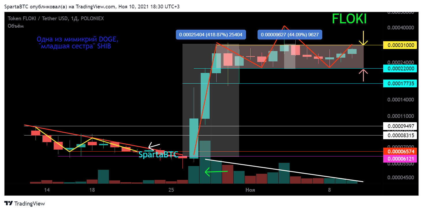POLONIEX:FLOKIUSDT Chart Image by SpartaBTC