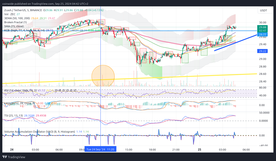 BINANCE:ZECUSDT Chart Image by coinwide