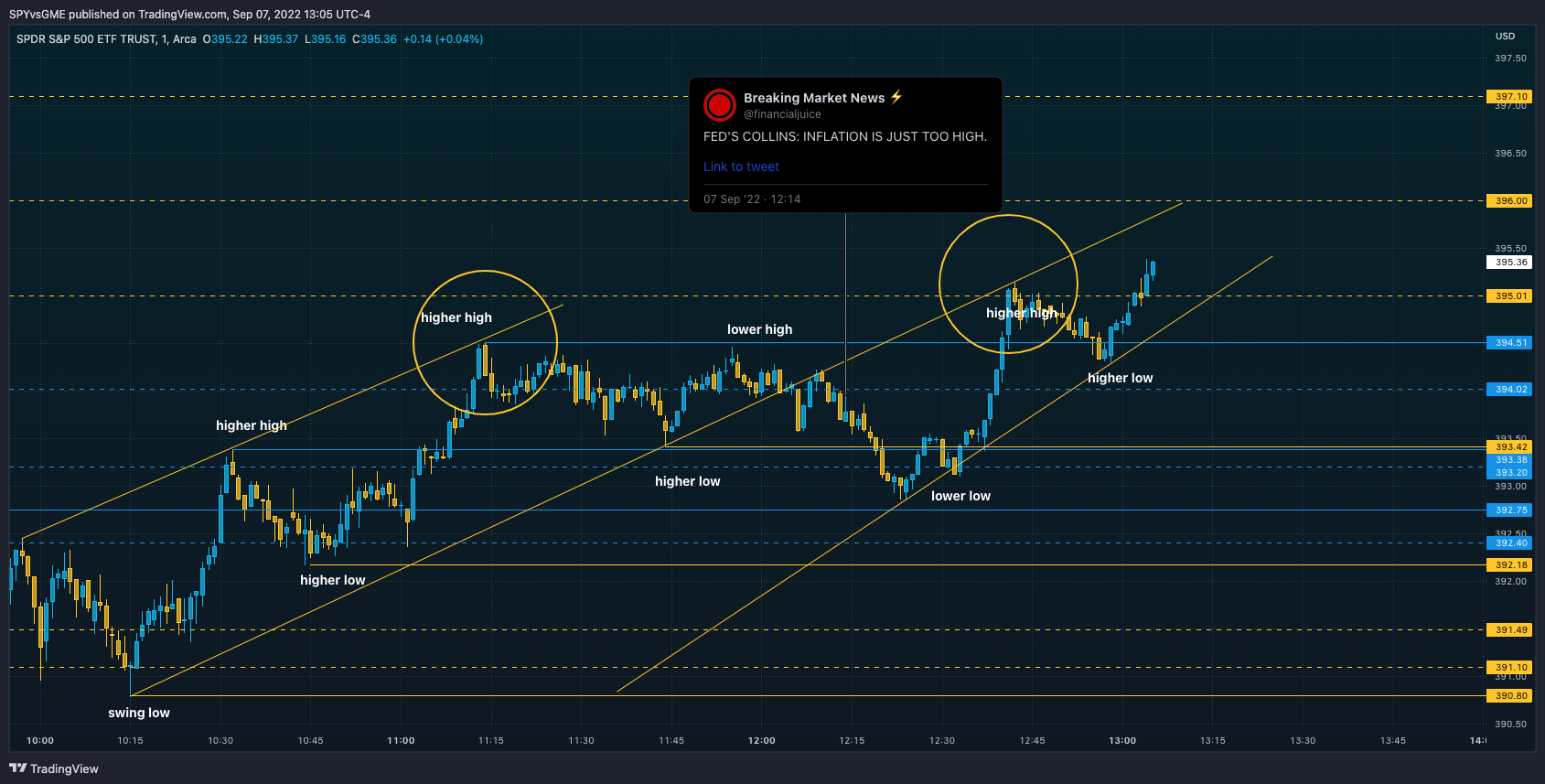 AMEX:SPY Chart Image by SPYvsGME