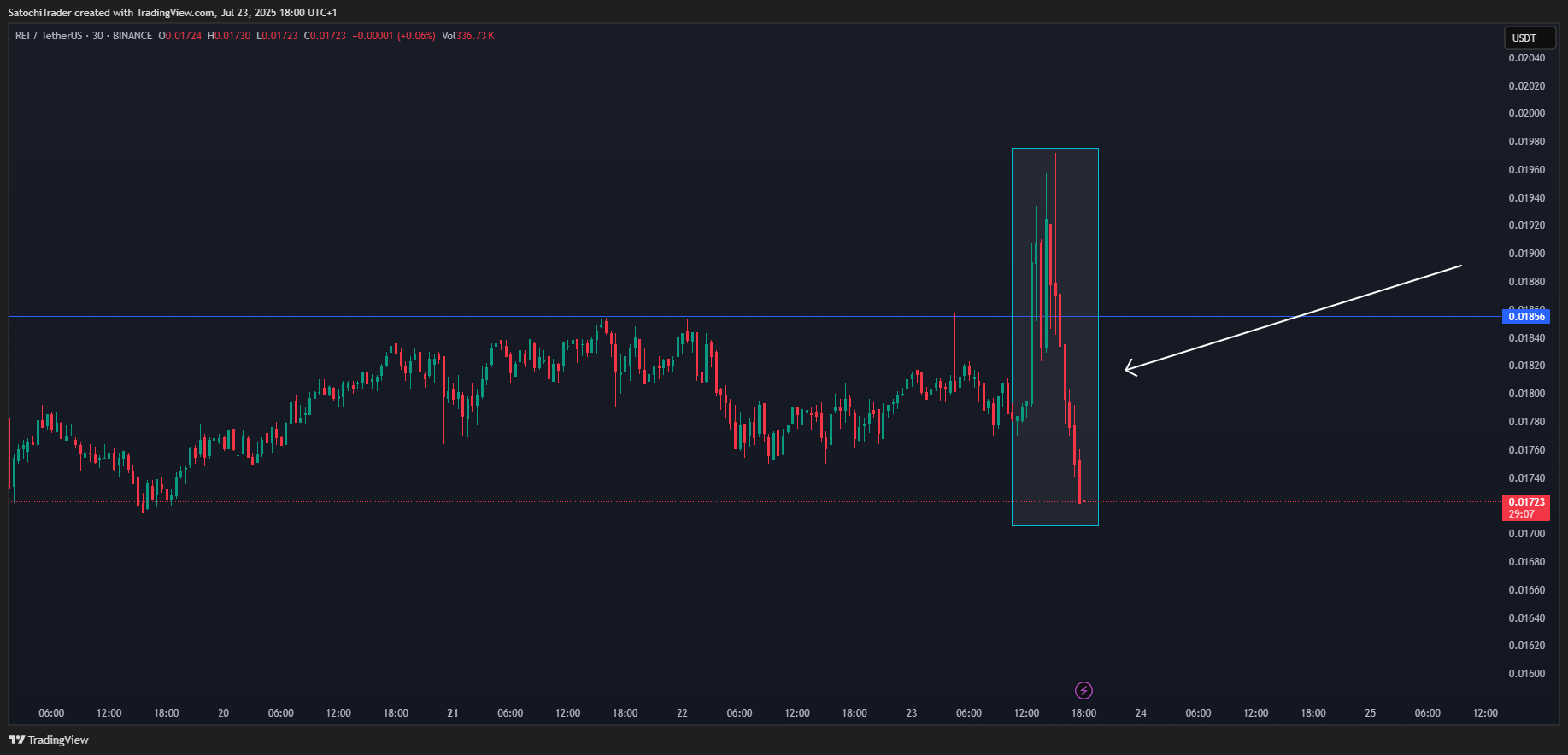 BINANCE:REIUSDT Chart Image by SatochiTrader