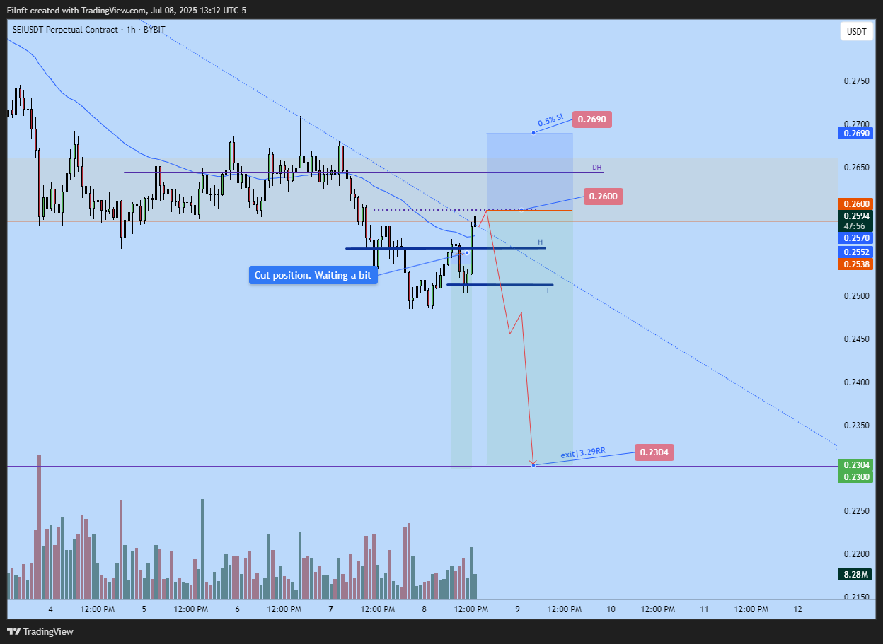 BYBIT:SEIUSDT.P Chart Image by Filnft