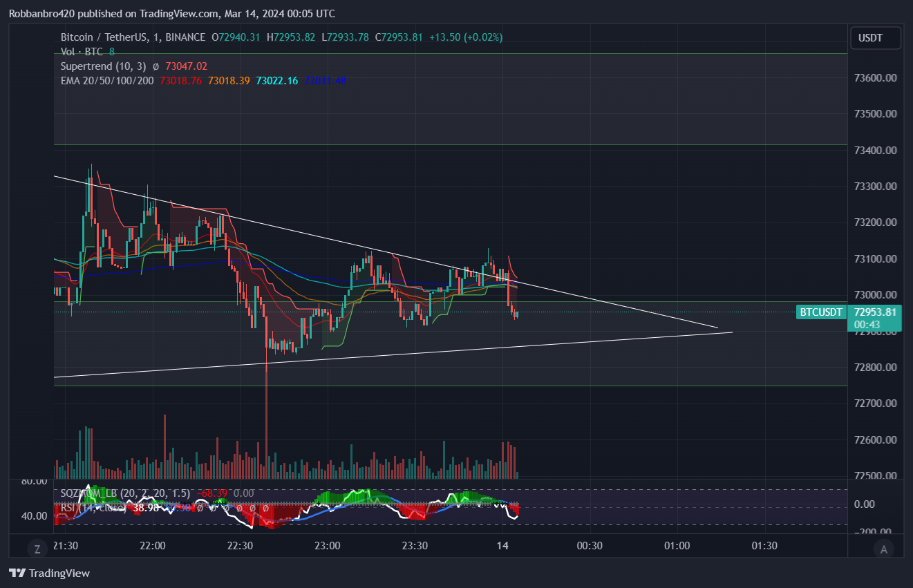 BINANCE:BTCUSDT Chart Image by Robbanbro420