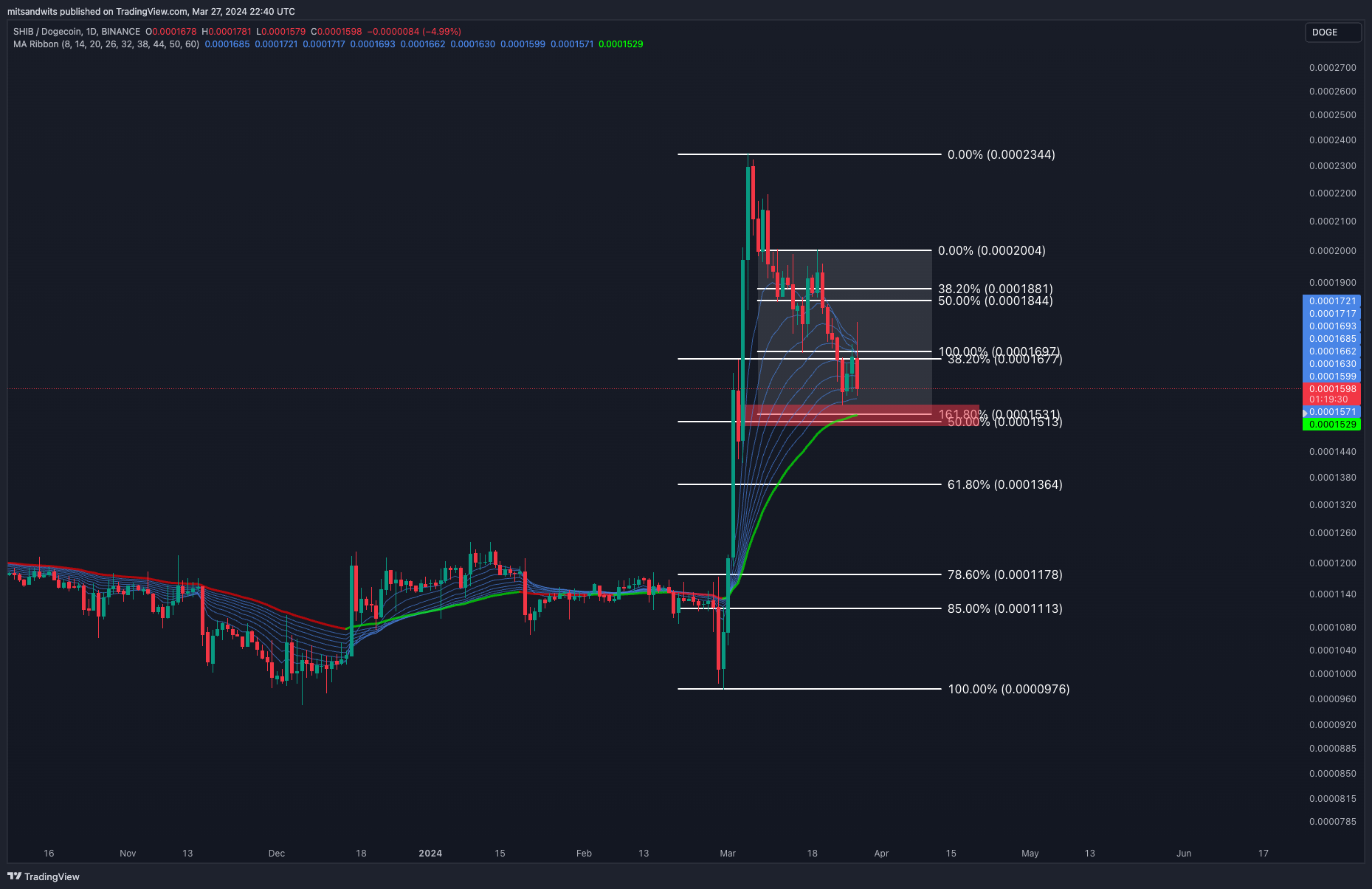 BINANCE:SHIBDOGE Chart Image by mitsandwits