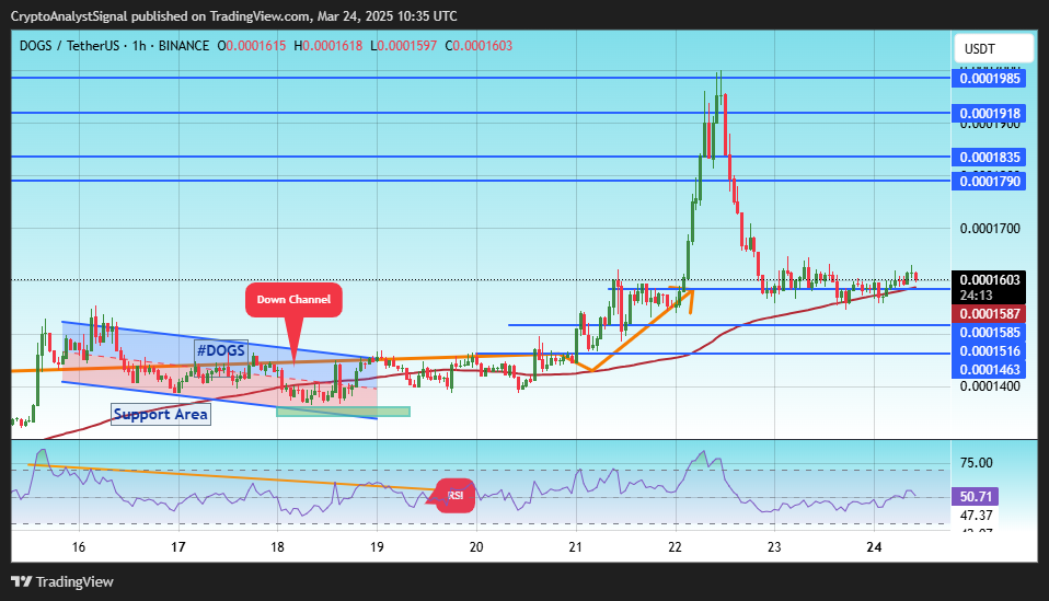 BINANCE:DOGSUSDT Chart Image by CryptoAnalystSignal