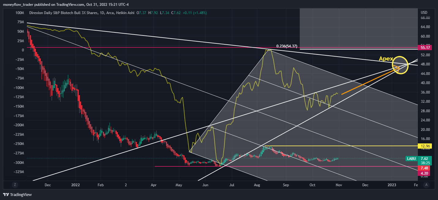 AMEX:LABU Chart Image by moneyflow_trader