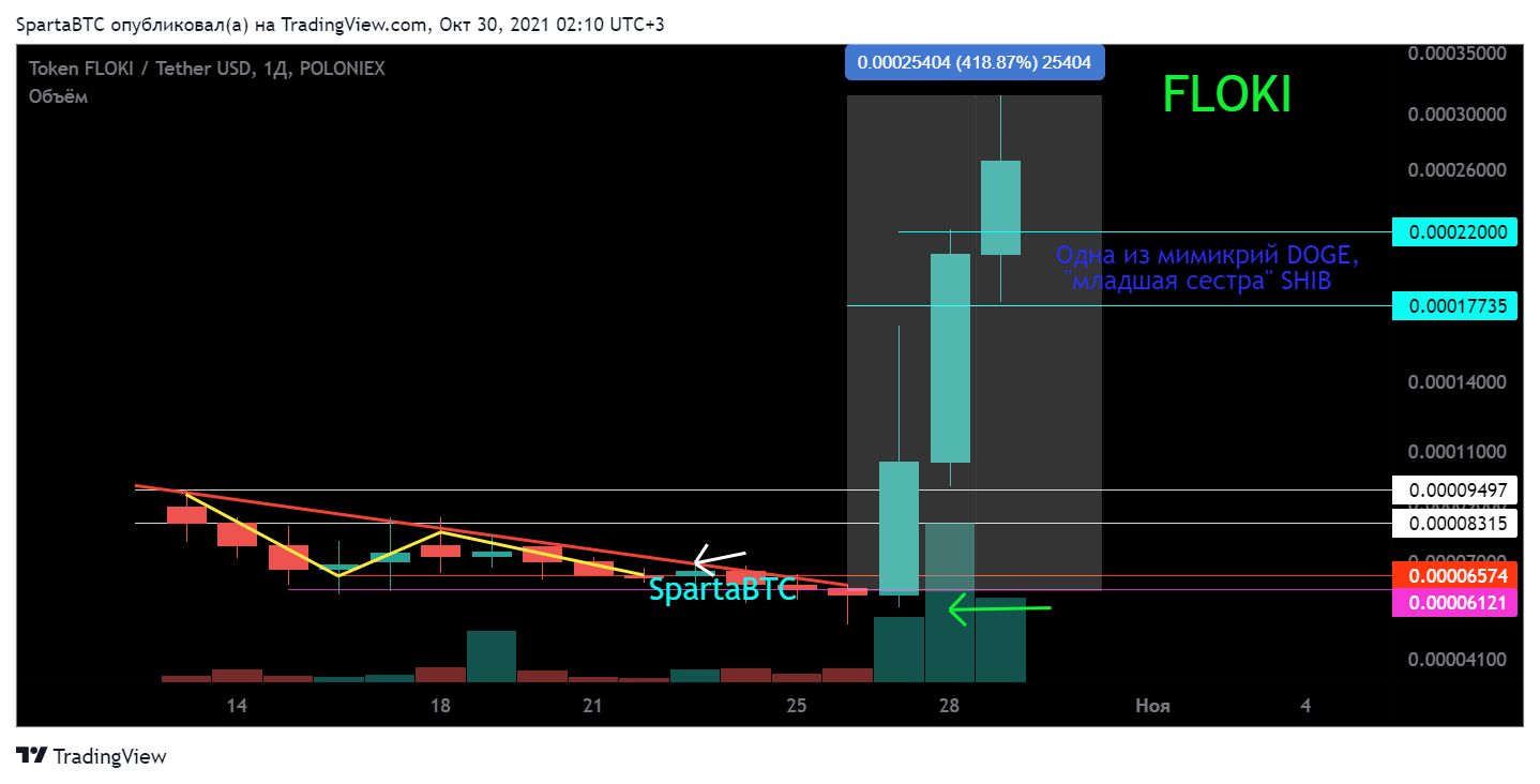 POLONIEX:FLOKIUSDT Chart Image by SpartaBTC