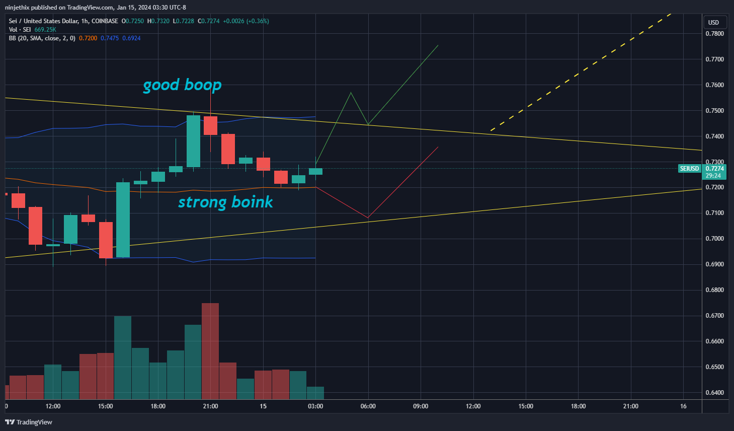 COINBASE:SEIUSD Chart Image by ninjethix