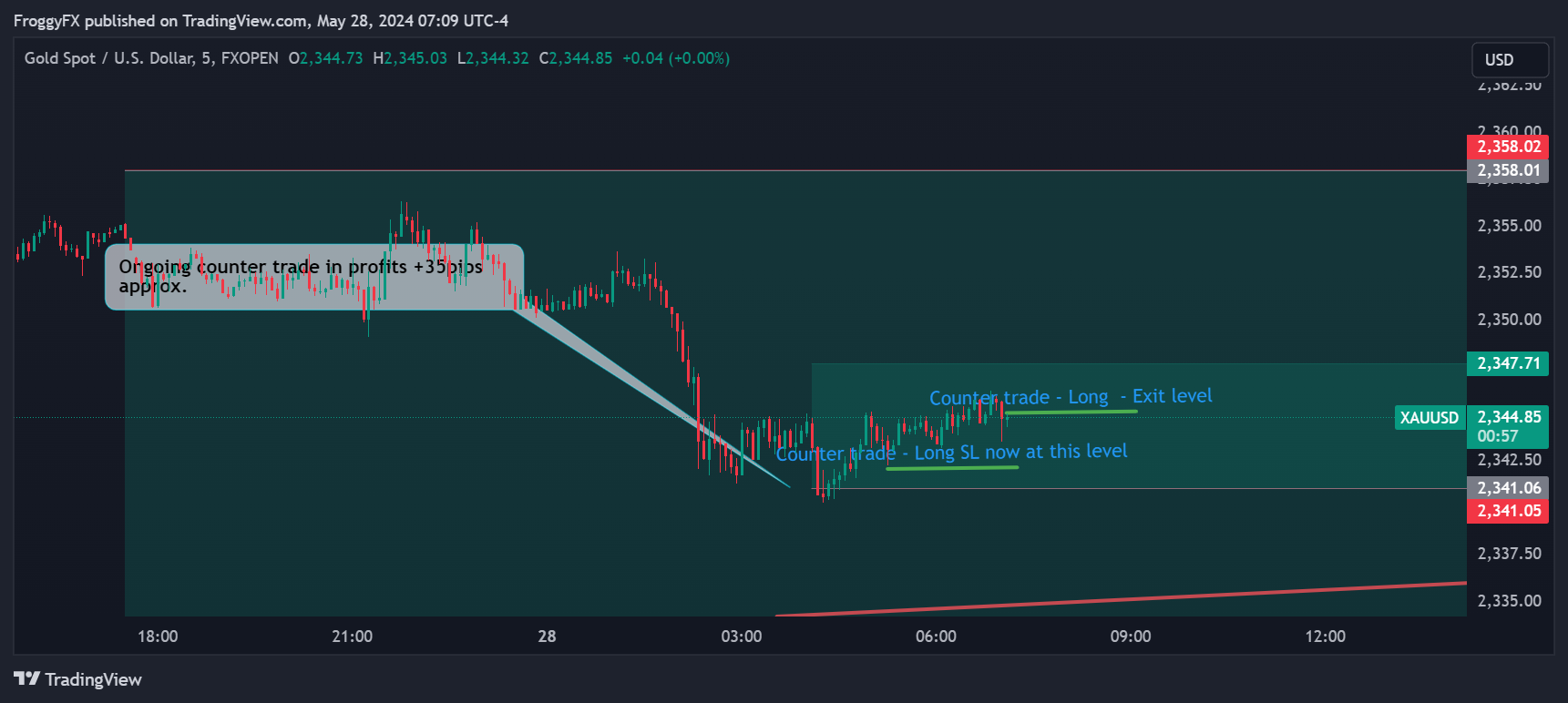 FXOPEN:XAUUSD Chart Image by FroggyFX