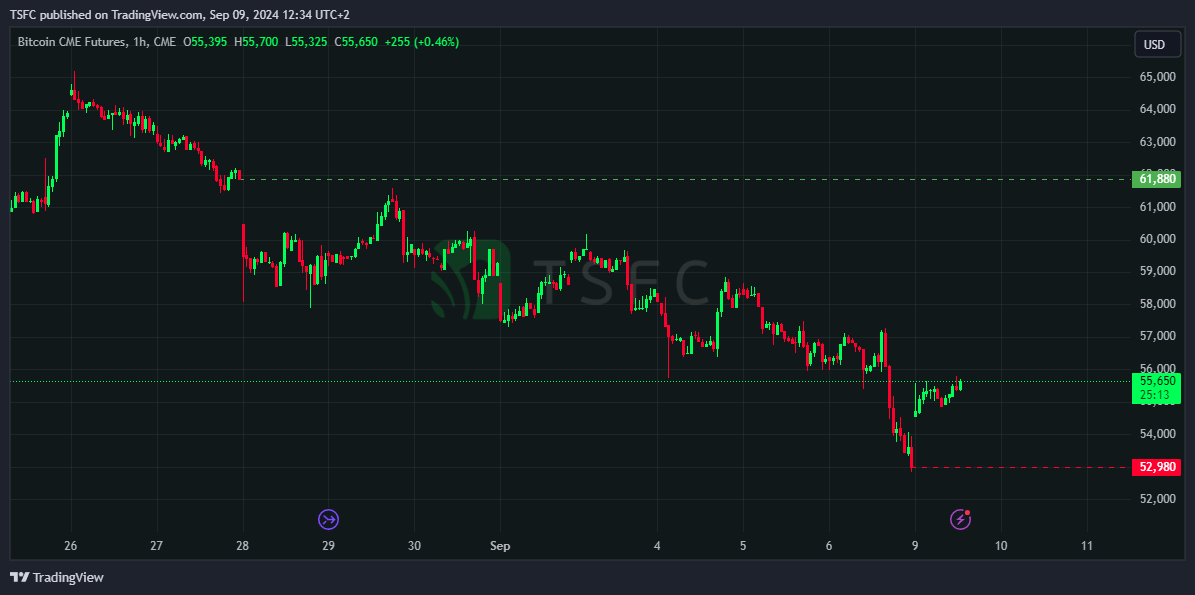 CME:BTC1! Chart Image by TSFC