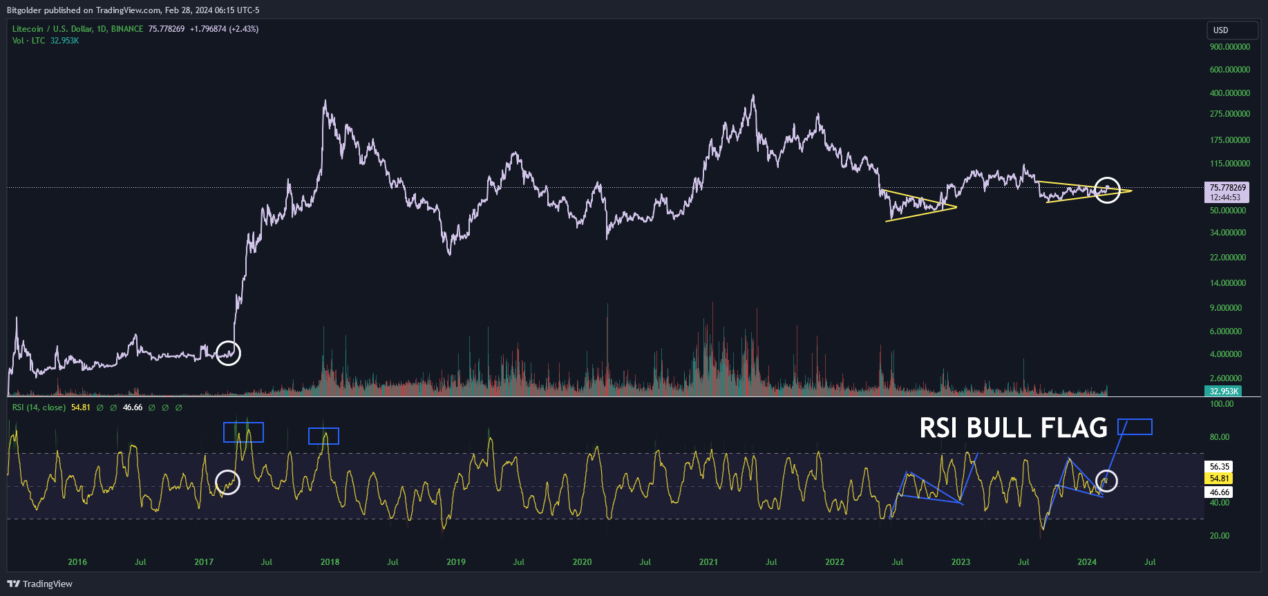 BINANCE:LTCUSD Chart Image by Bitgolder