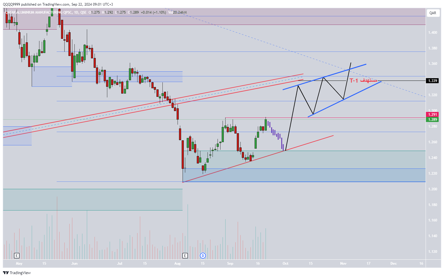 QSE:QAMC Chart Image by QQQQ9999