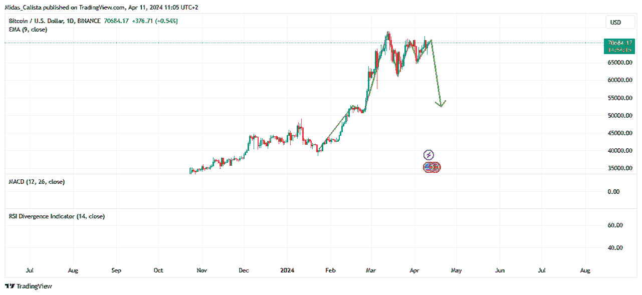 BINANCE:BTCUSD Chart Image by Midas_Calista