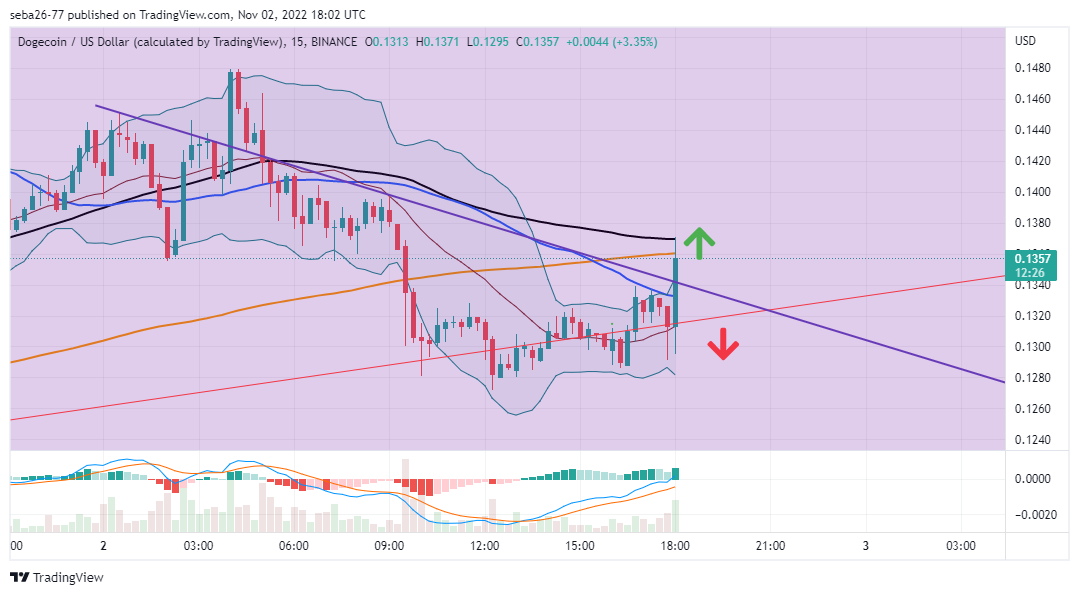 BINANCE:DOGEUSD Chart Image by seba26-77