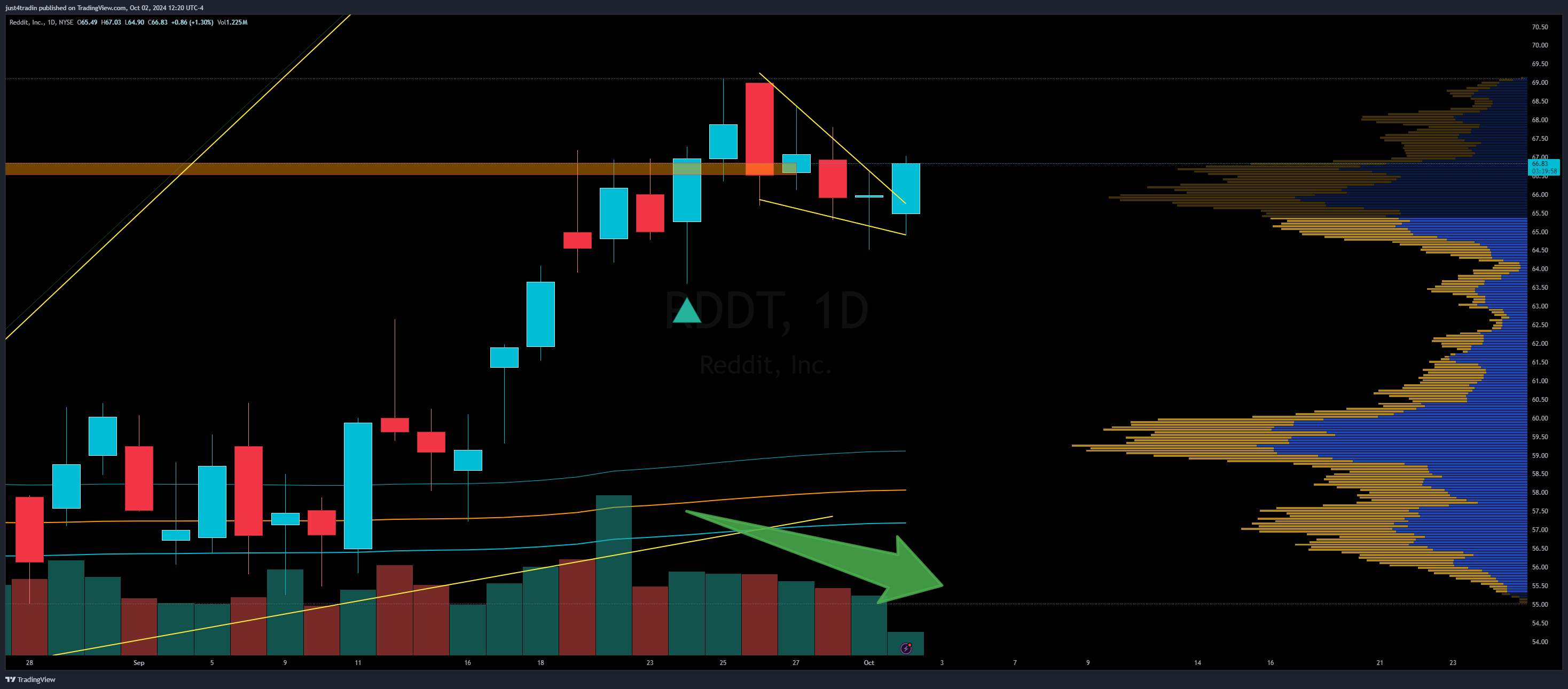 NYSE:RDDT Chart Image by just4tradin