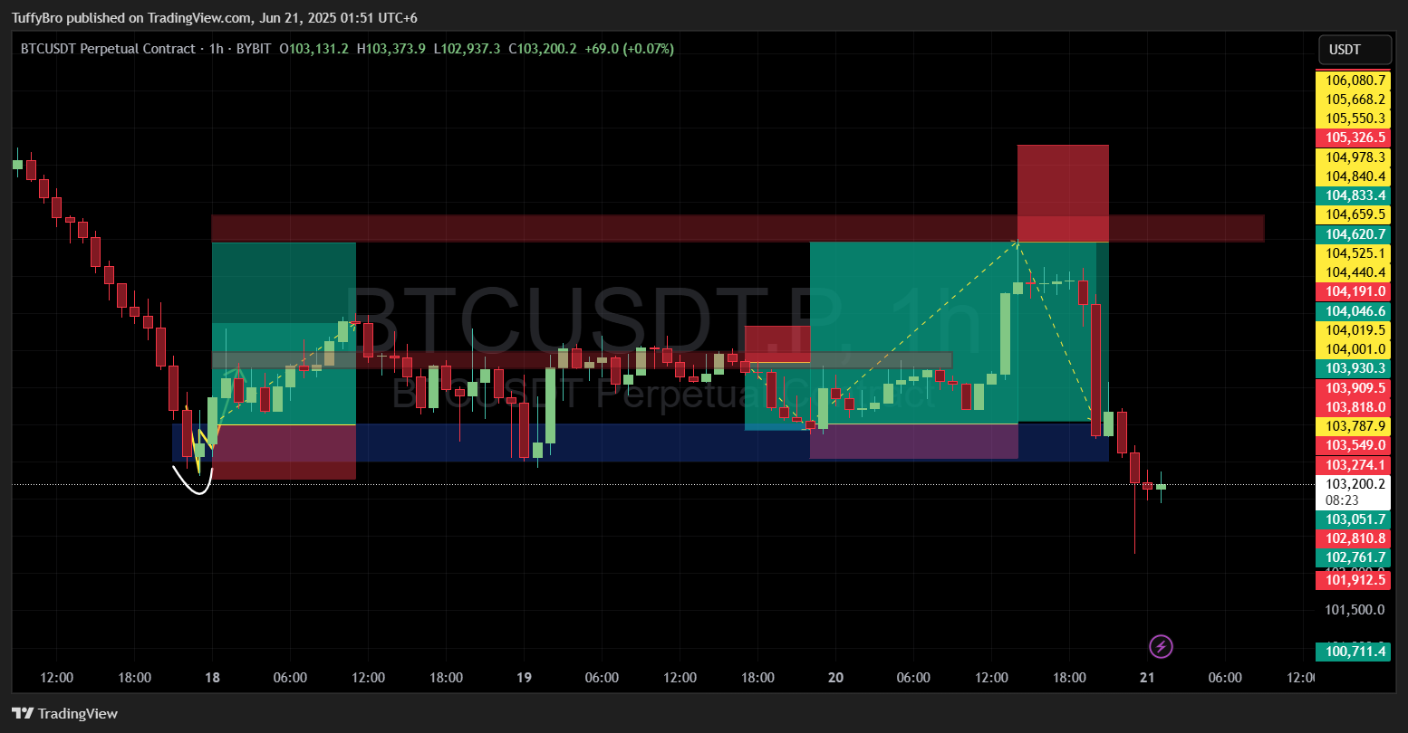 BYBIT:BTCUSDT.P Chart Image by TuffyBro