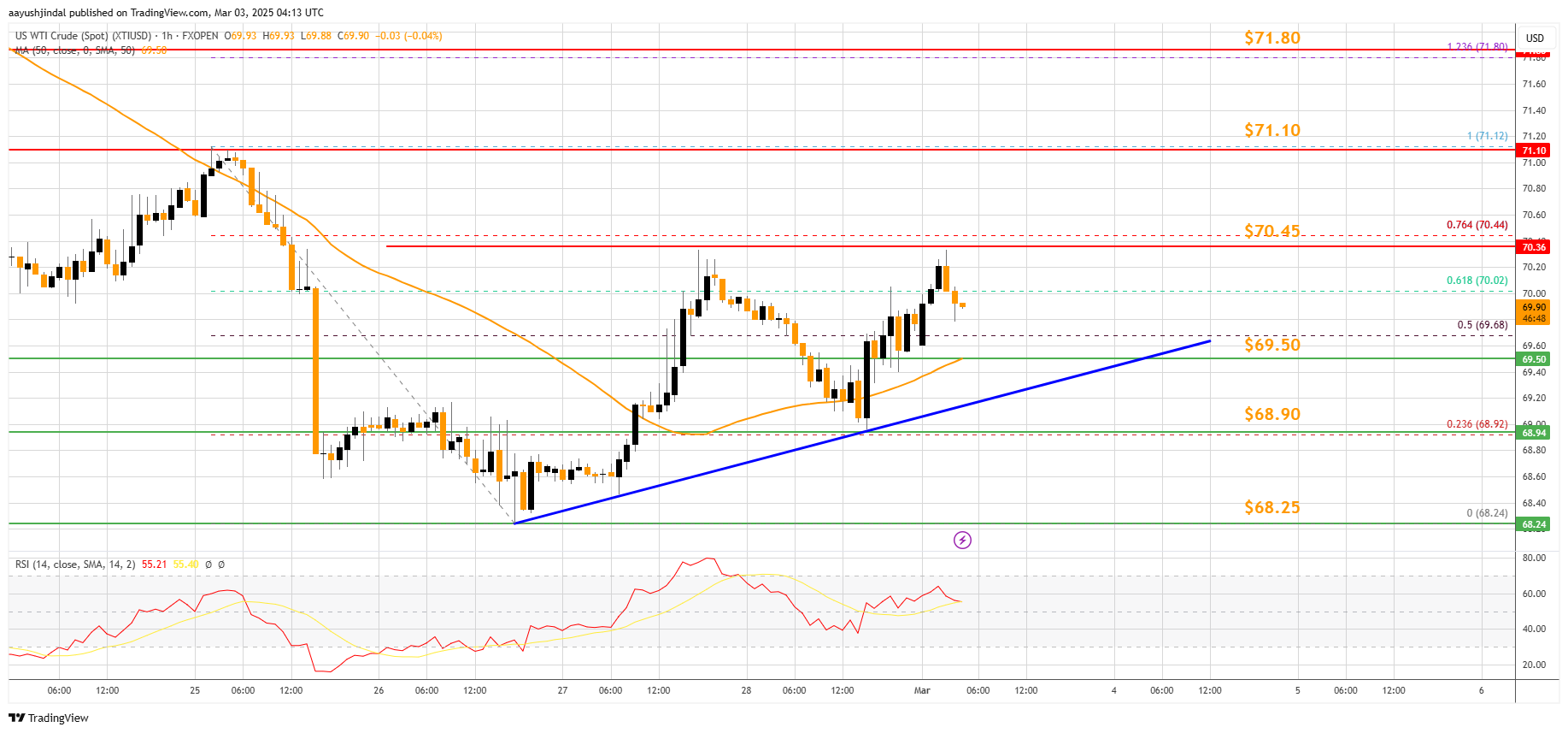 FXOPEN:XTIUSD Chart Image by aayushjindal