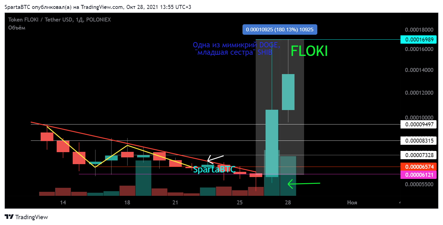 POLONIEX:FLOKIUSDT Chart Image by SpartaBTC