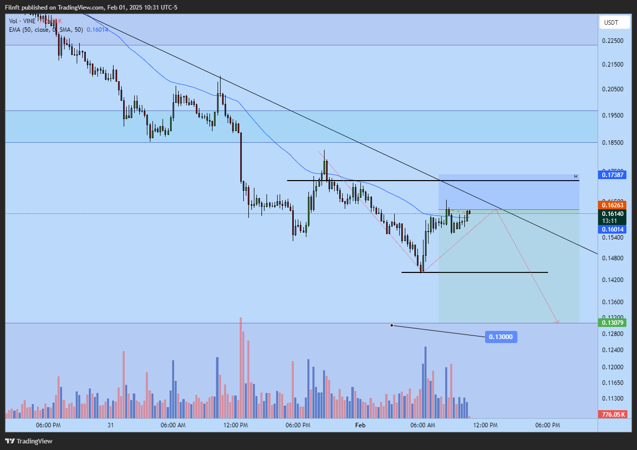 BYBIT:VINEUSDT.P Chart Image by Filnft