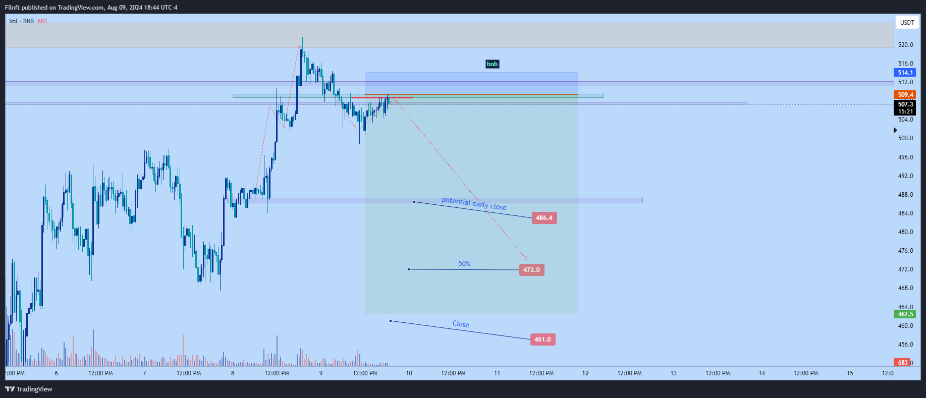 BINANCE:BNBUSDT Chart Image by Filnft