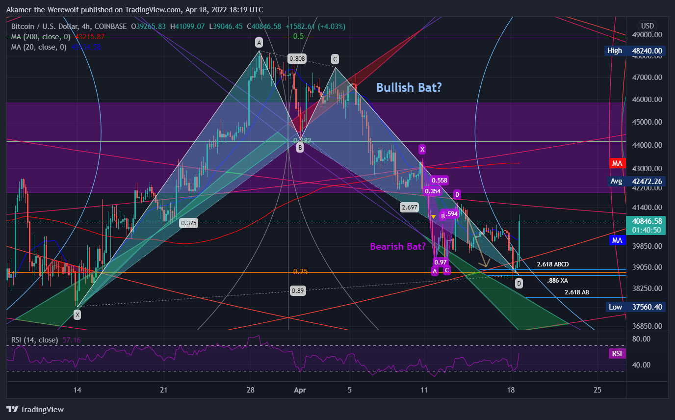 COINBASE:BTCUSD Chart Image by Akamer-the-Werewolf