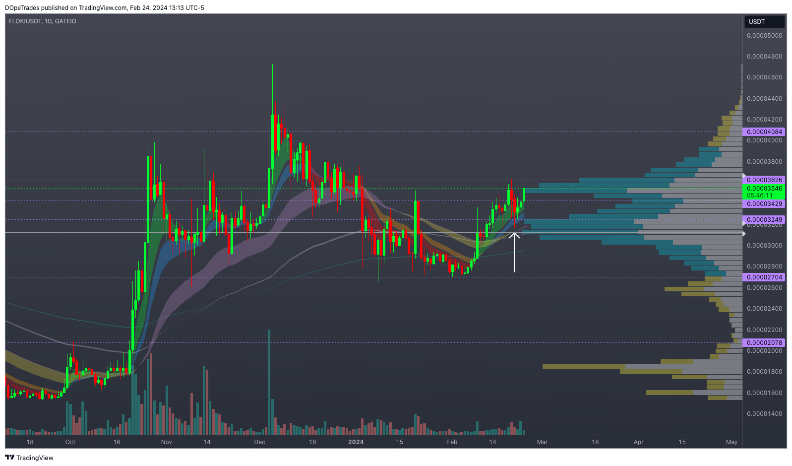 GATEIO:FLOKIUSDT Chart Image by DOpeTrades