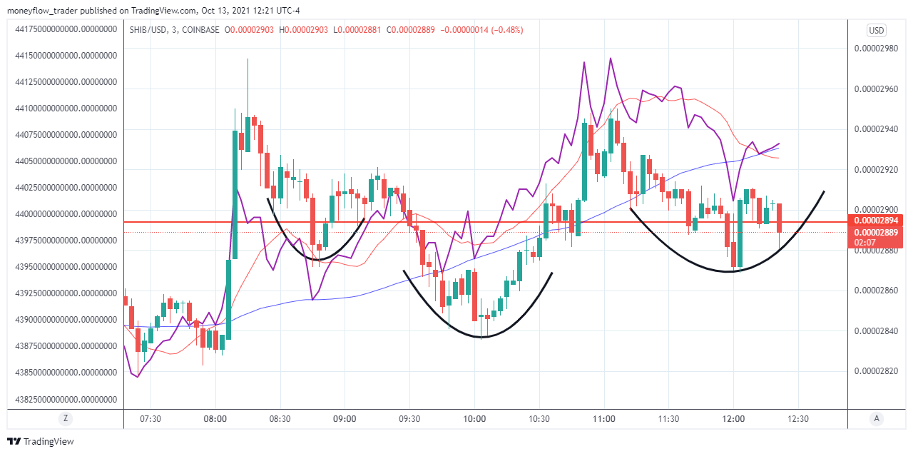 COINBASE:SHIBUSD Chart Image by moneyflow_trader
