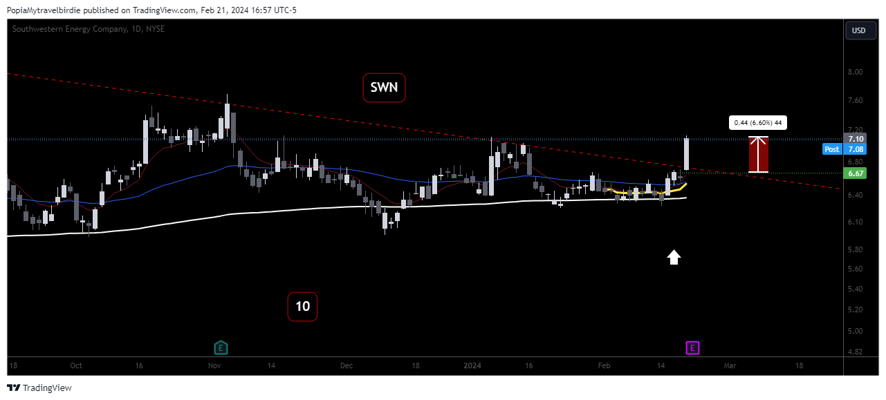 BATS:SWN Chart Image by PopiaMytravelbirdie