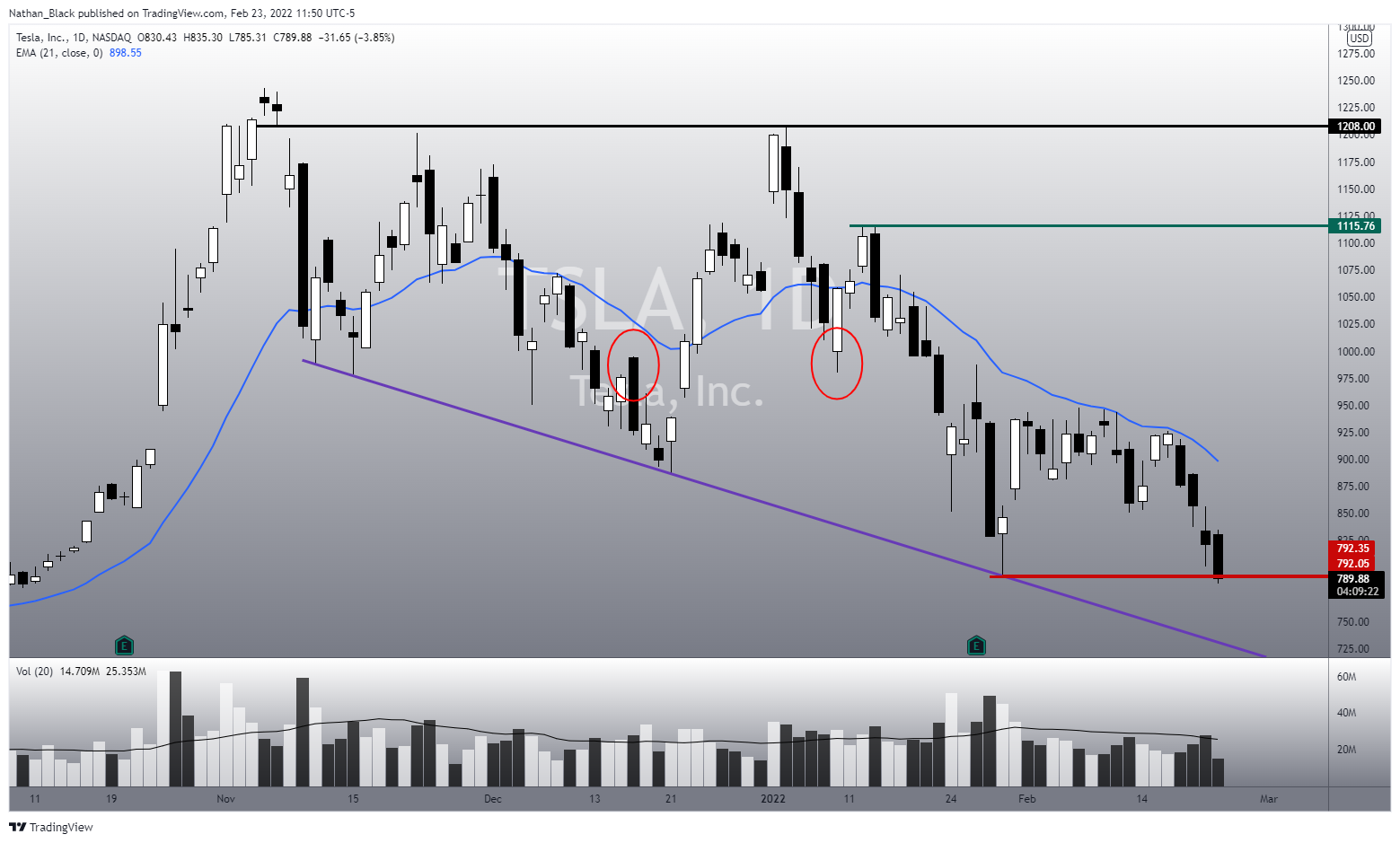 NASDAQ:TSLA Chart Image by Nathan_The_Finance_Hydra