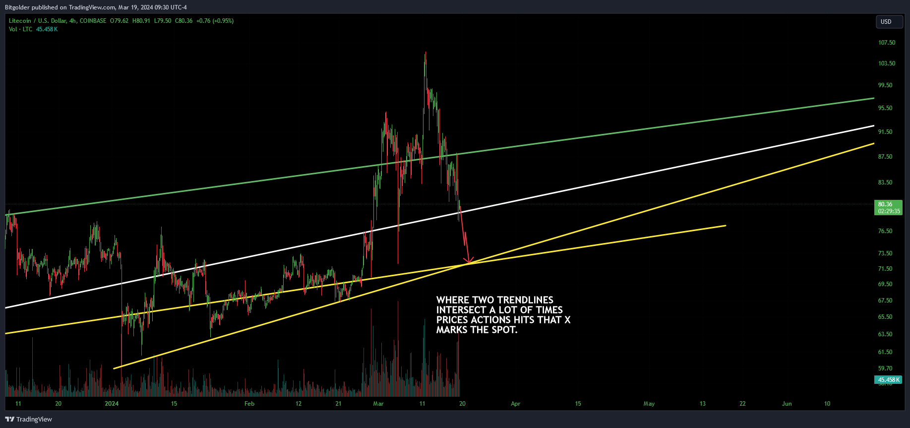 COINBASE:LTCUSD Chart Image by Bitgolder