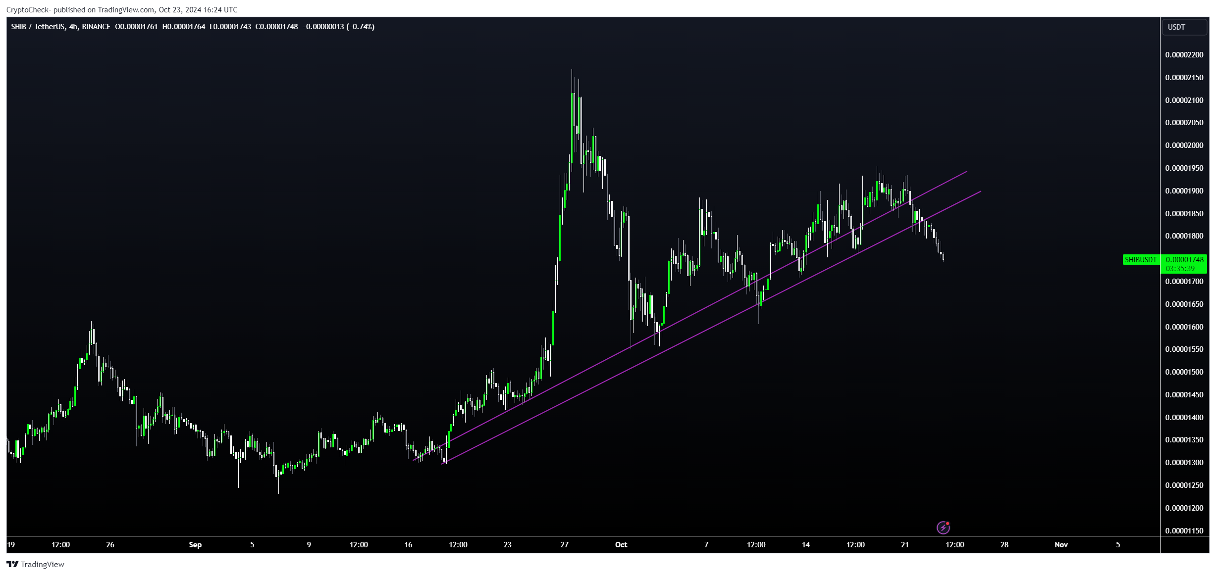 BINANCE:SHIBUSDT Chart Image by Crypto-Check-