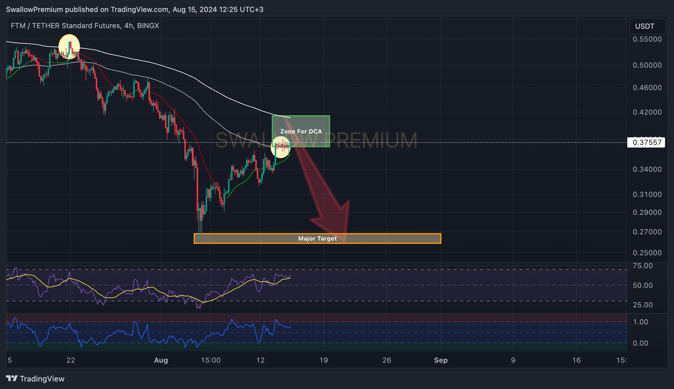 BINGX:FTMUSDT.PS Chart Image by SwallowAcademy