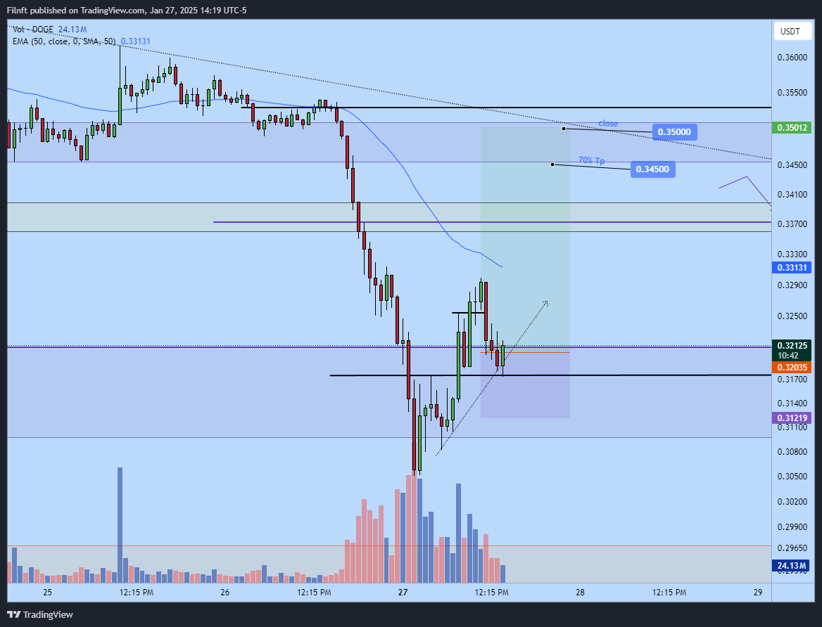 BINANCE:DOGEUSDT Chart Image by Filnft
