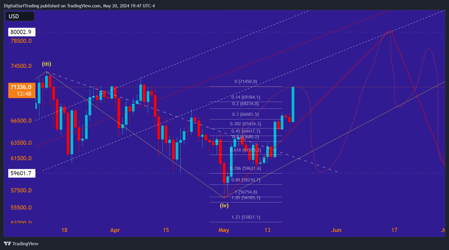 BITFINEX:BTCUSD Chart Image by DigitalSurfTrading