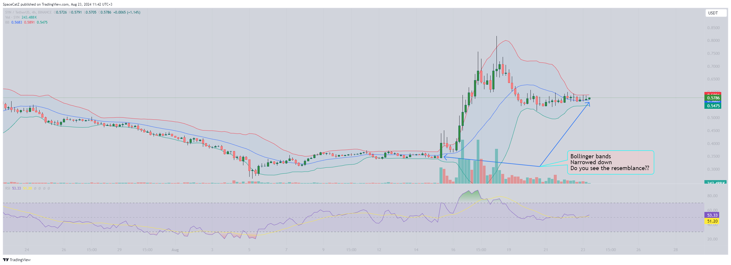 BINANCE:SYNUSDT Chart Image by SpaceCatZ