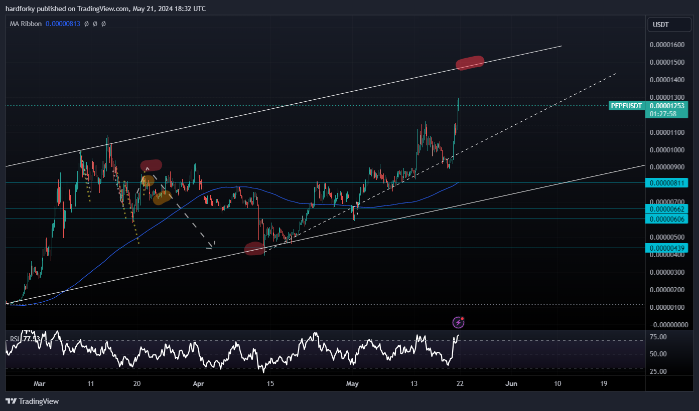 BINANCE:PEPEUSDT Chart Image by hardforky